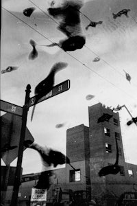 a black and white photograph of birds flying over a street